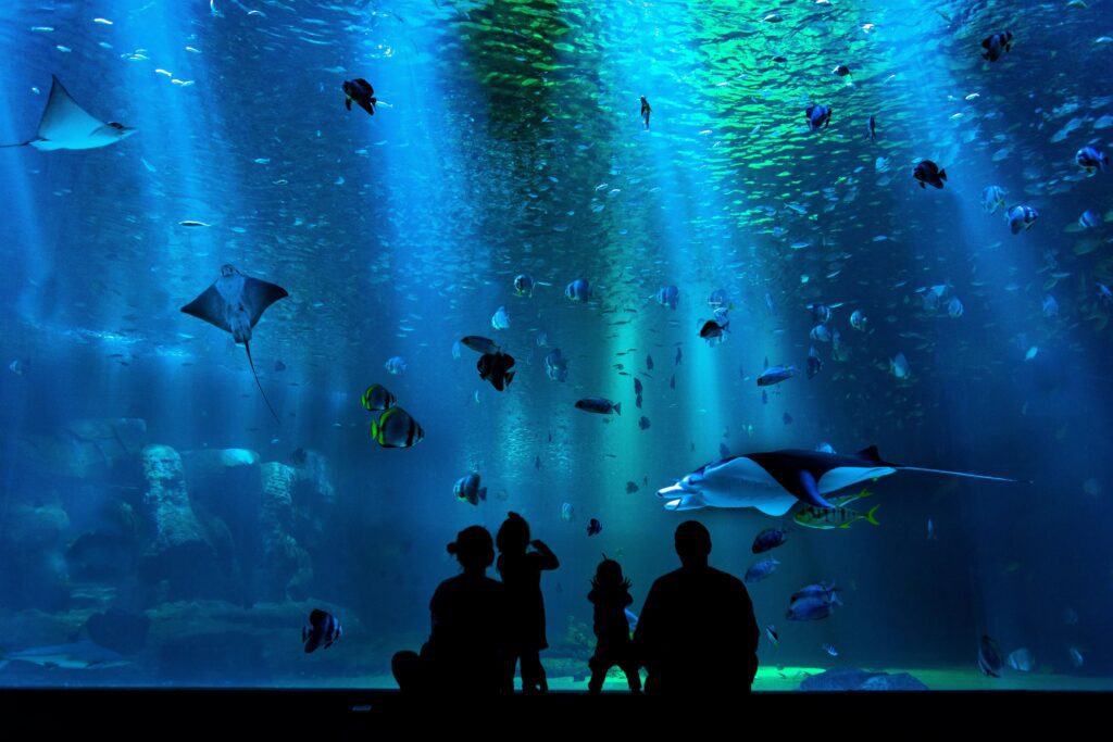 Zoos and aquariums reviews